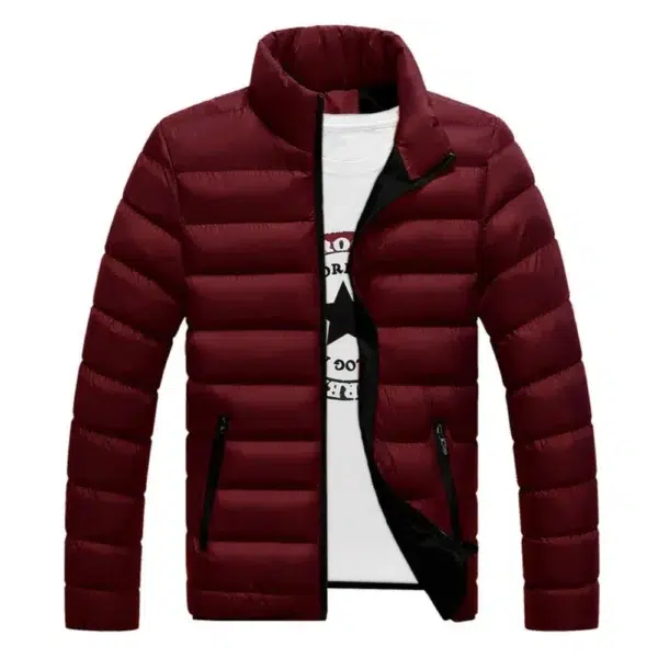 New Winter jacket Long sleeve cotton-padded jacket zipper jacket men's stand-up collar jacket plus size cotton jacket - Image 4